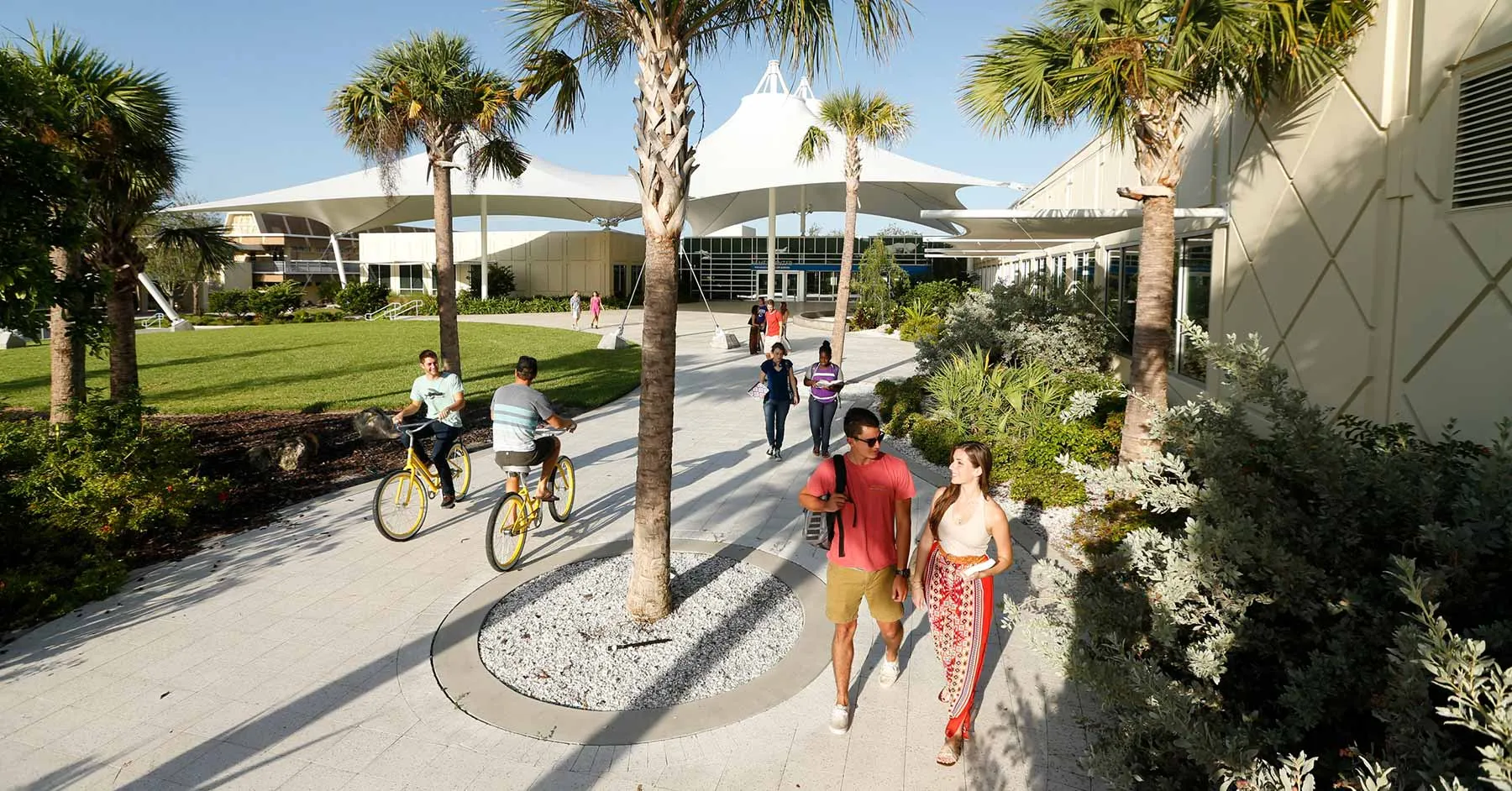 Eckerd College Acceptance Rate 2024 for Students
