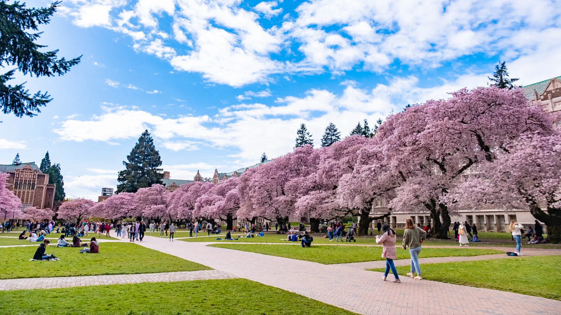 University of Washington Acceptance Rate Out of-State