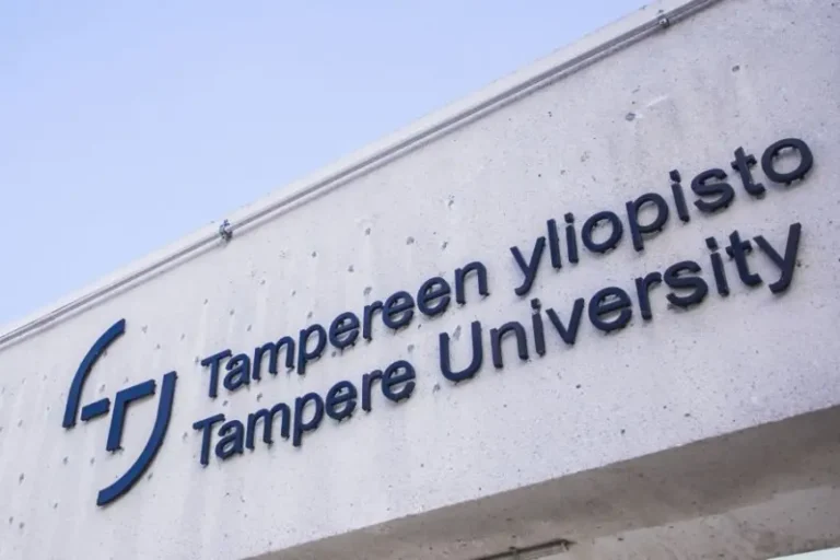 tampere university