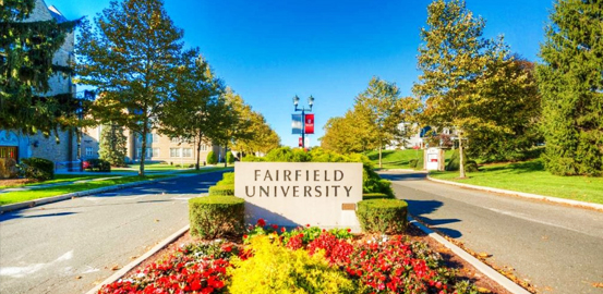 fairfield university